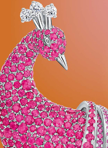 Женщины меняют Петербург