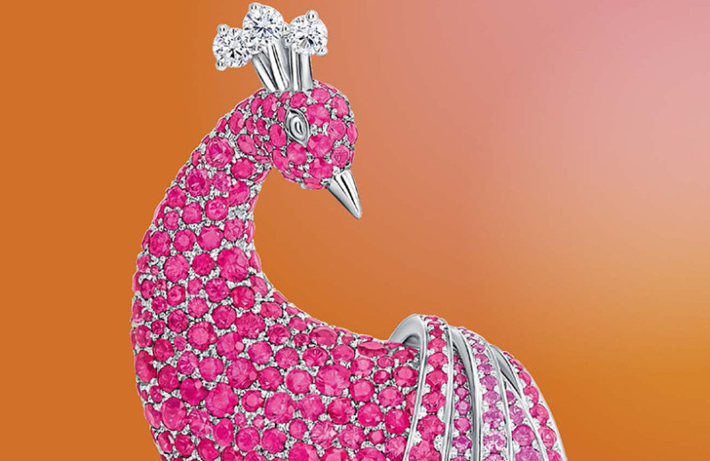 Женщины меняют Петербург