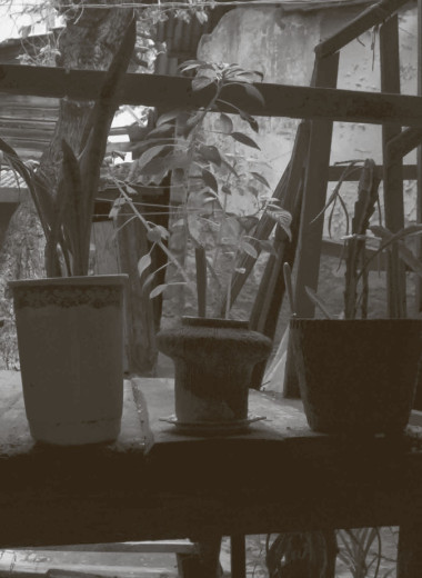 Истории со вкусом и запахом