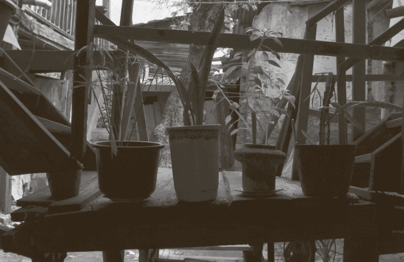 Истории со вкусом и запахом