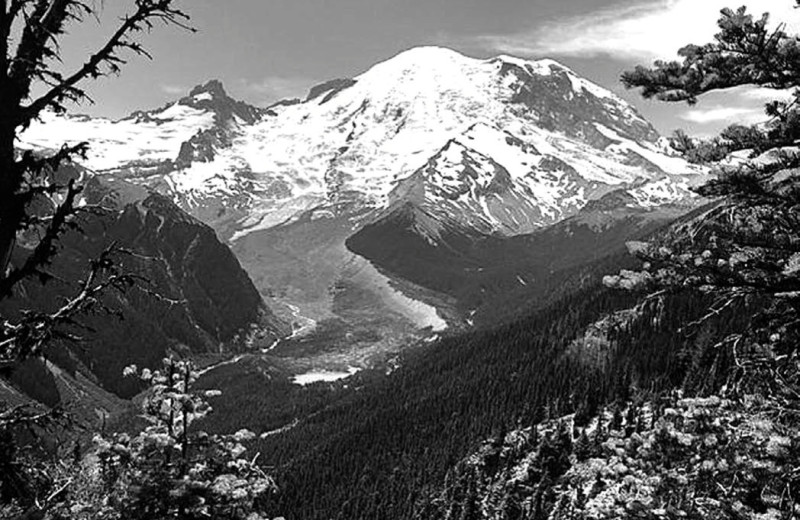 В кольце вулканов