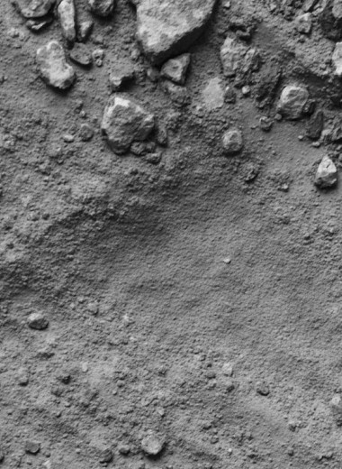 В лабораториях страны