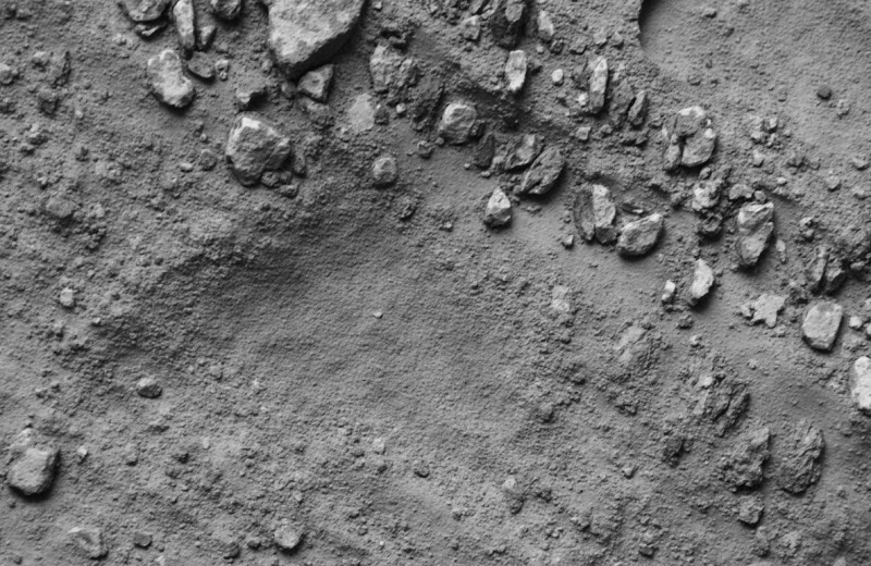 В лабораториях страны