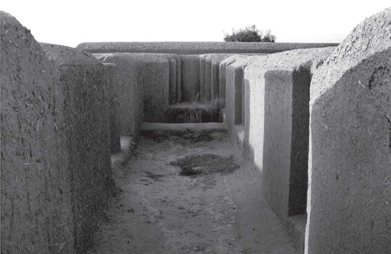 Гонур-депе (Туркменистан) и исчезнувшая цивилизация