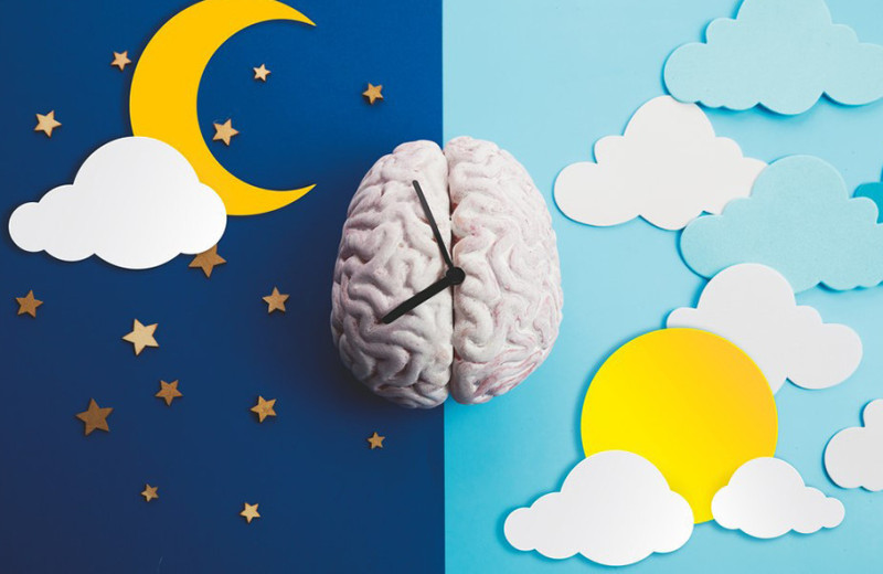 Михаил Полуэктов: «Кажется, что отвоевать у сна пару часов – это очень круто. Но результаты научных исследований доказывают, что это пиррова победа»