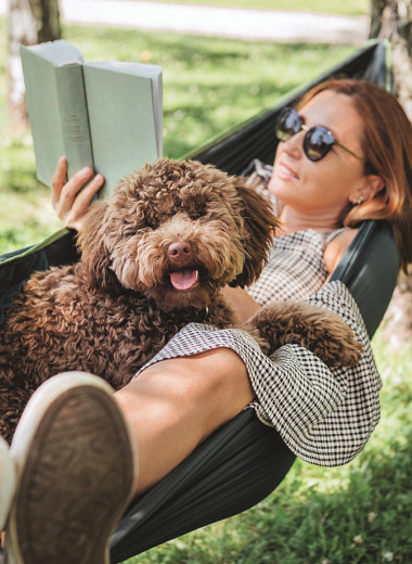 От редакции