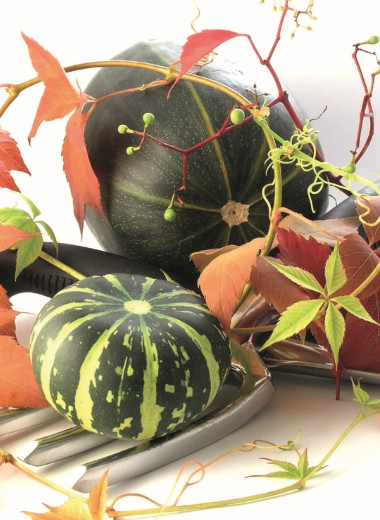 Давай, до свидания!