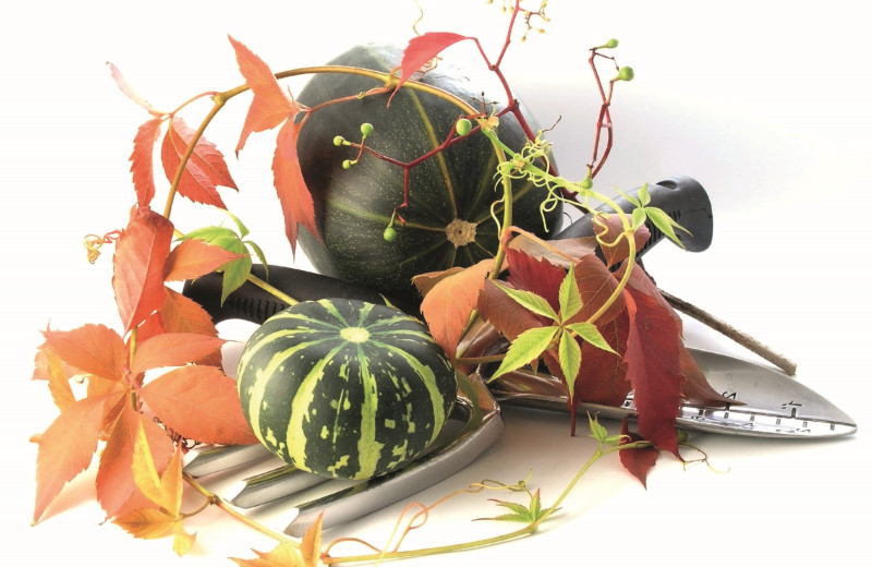 Давай, до свидания!