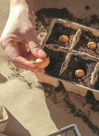 Строго по графику