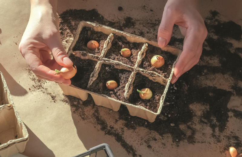 Строго по графику