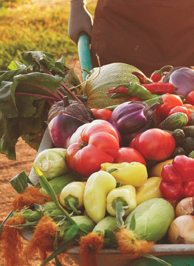 Больше, ярче, сочнее