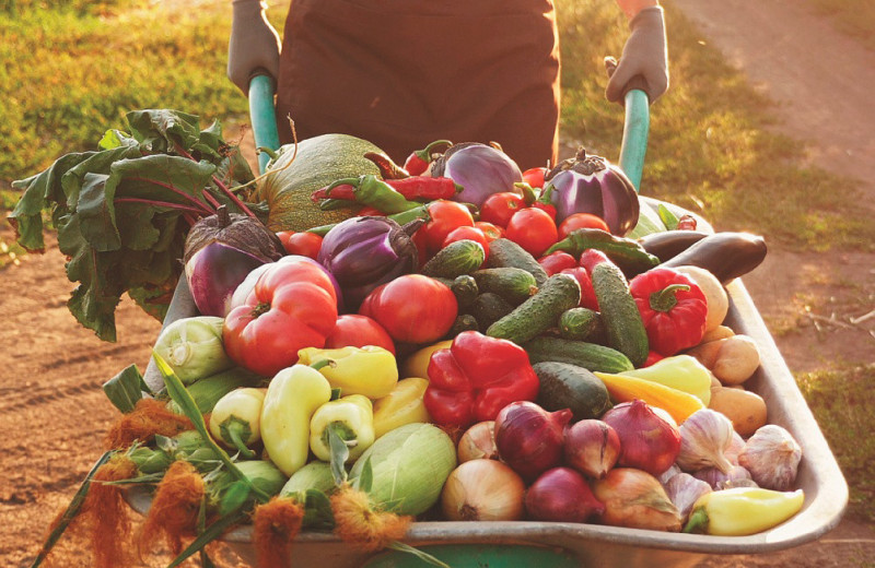 Больше, ярче, сочнее