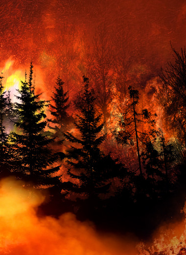 Катастрофические природные пожары 2021 года: случайная аномалия или новая норма?