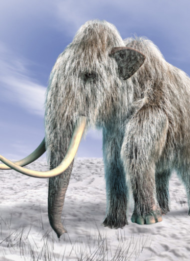 Эволюционная баллистика мамонтов: от хоботных до голоценового финала