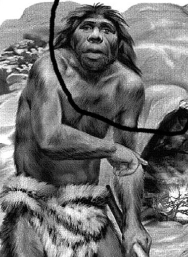 Неандертальское искусство кройки и шитья