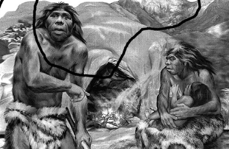 Неандертальское искусство кройки и шитья