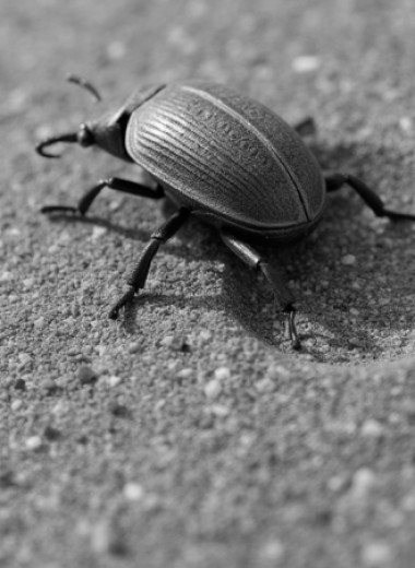 Бегом от перегрева