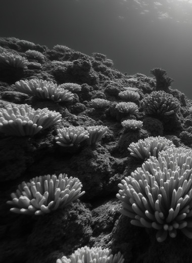 Во всем мире