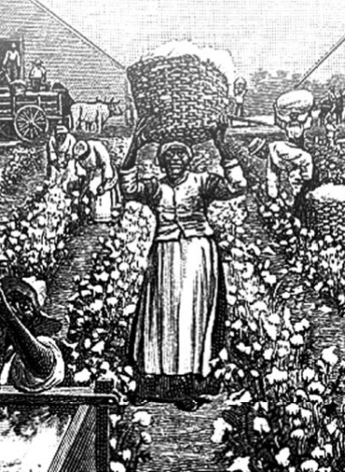 Темная сторона хлопка