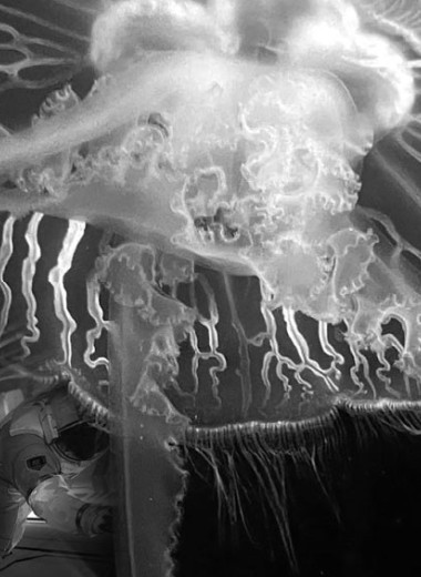 Бог в космосе обнаружен