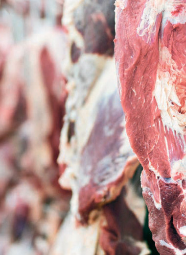 Экспортеры поднабрали мяса