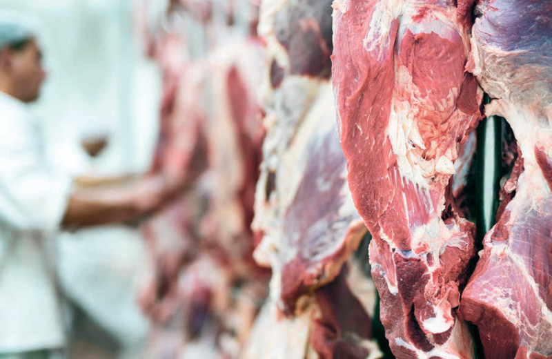 Экспортеры поднабрали мяса