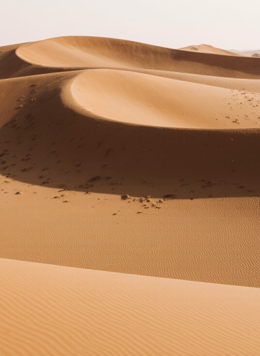 От редакции