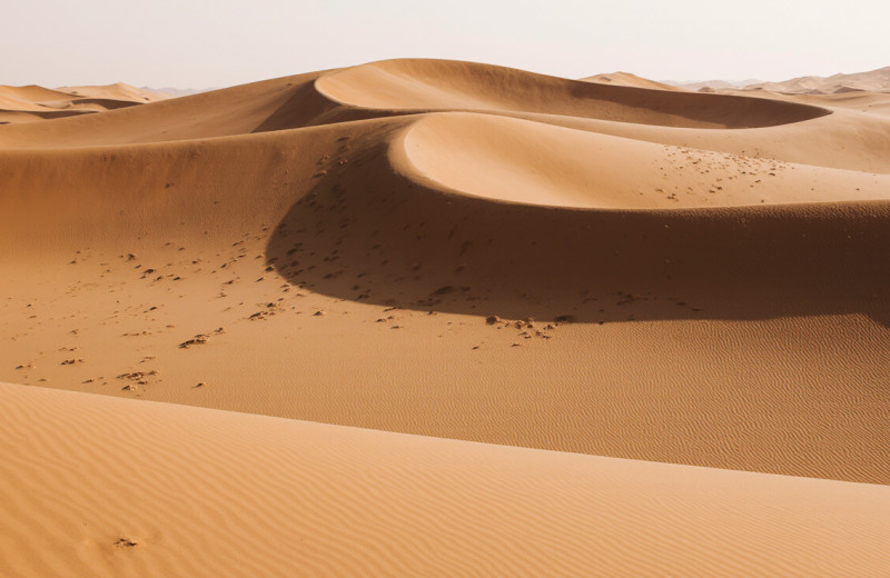 От редакции