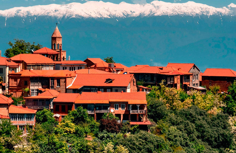 Хлебом покорми и дай вина