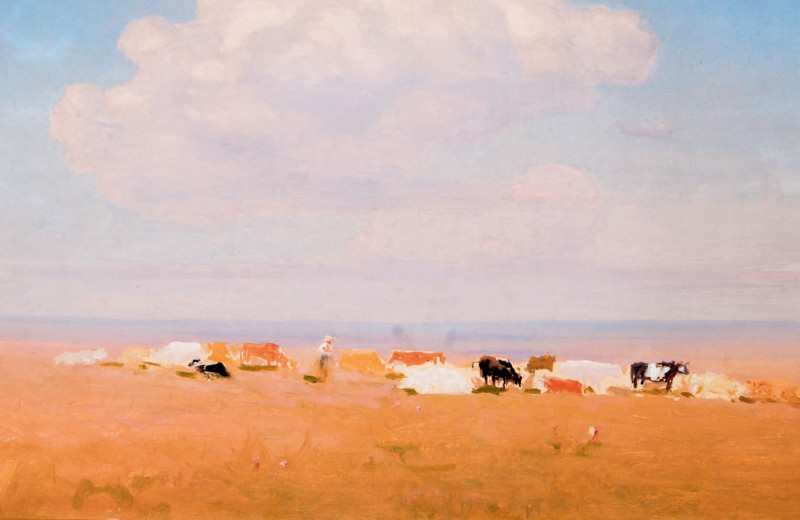 Выход в свет