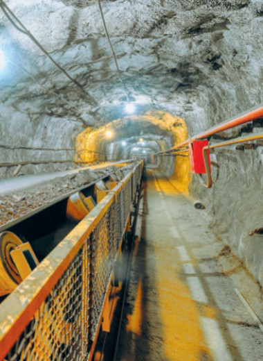 Редкоземельные перспективы