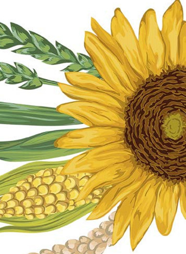 Не самый лучший год