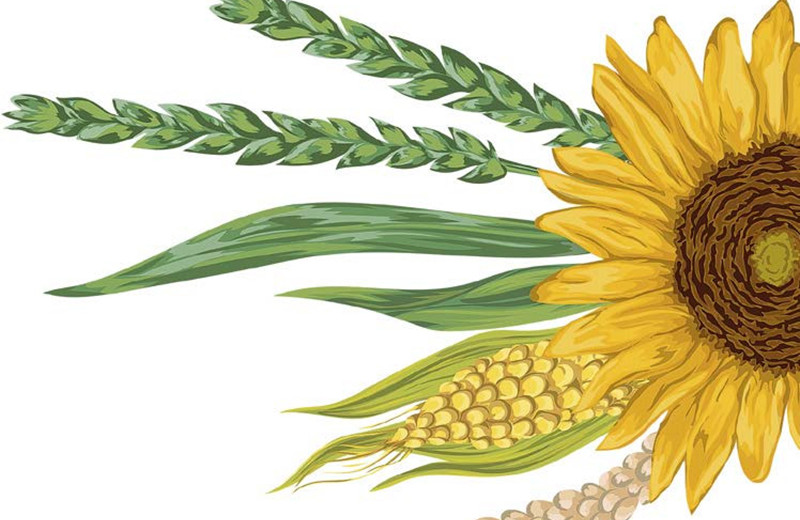 Не самый лучший год