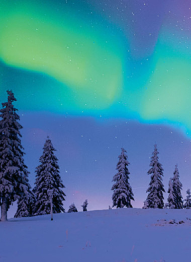 Охотники за холодом