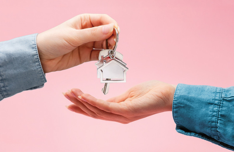 Казус Долиной