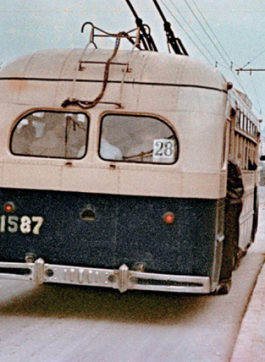 28, Пётр и ослик