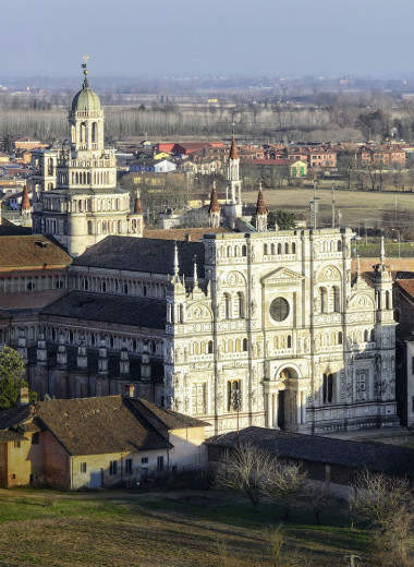 Рыцари супа