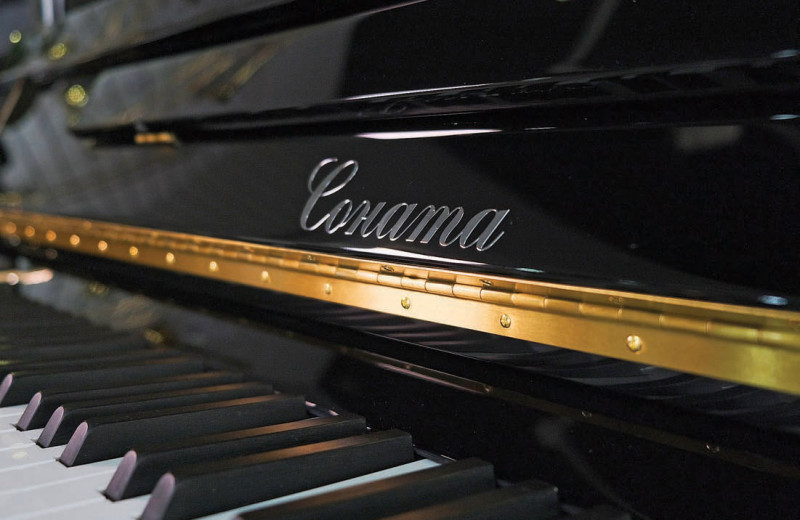 Как звучит пианино, сделанное в Сибири