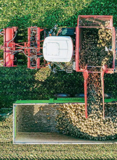 Препятствия на пути к продбезопасности