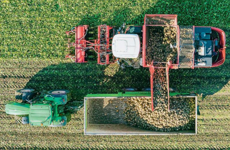 Препятствия на пути к продбезопасности