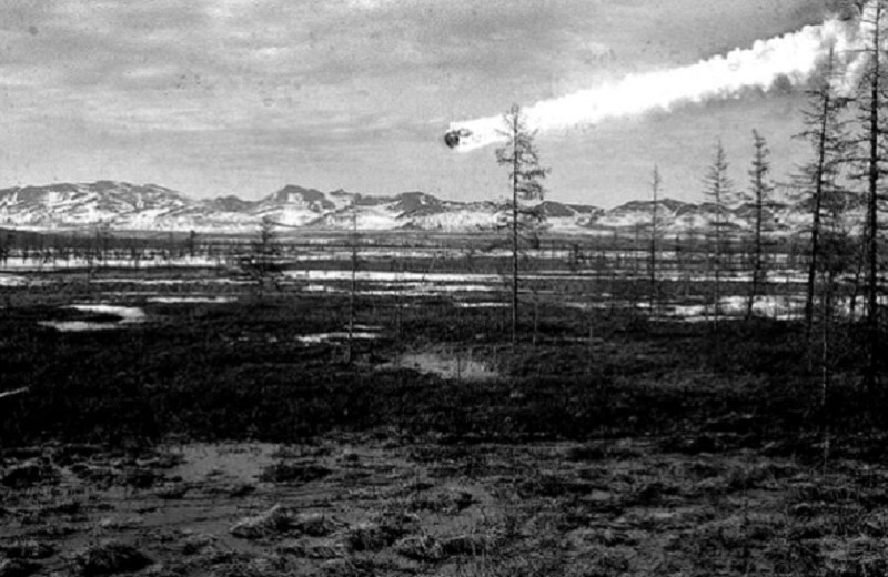 Век с читателем. Год 1951