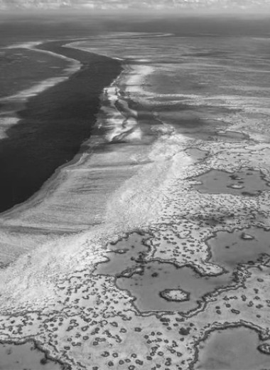 Новости науки