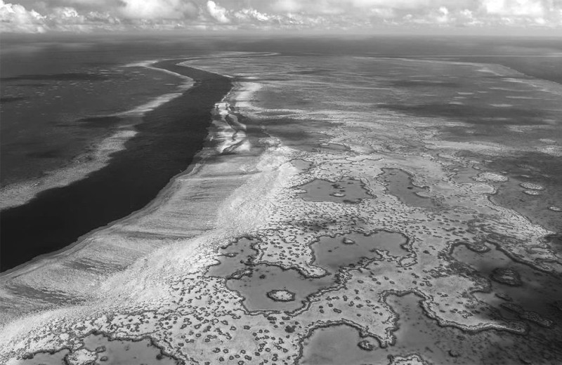 Новости науки