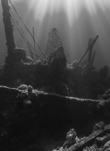 Лавка древностей