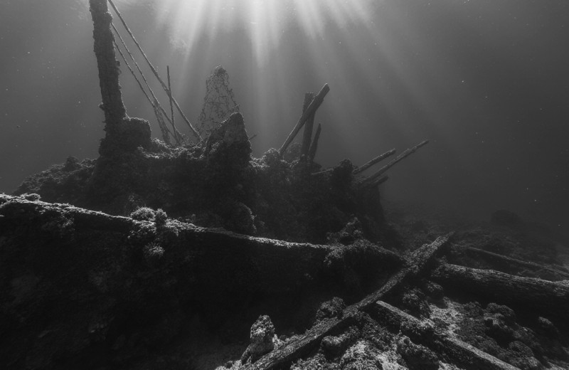 Лавка древностей