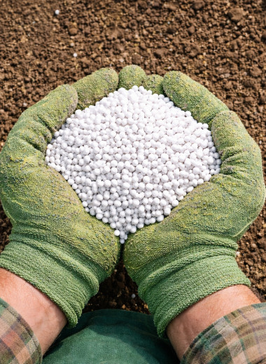 Удобрение экспорта