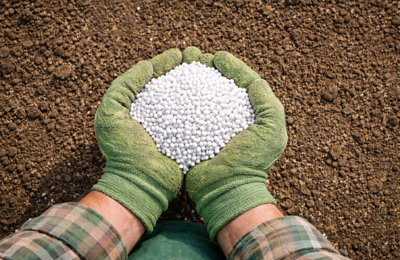 Удобрение экспорта