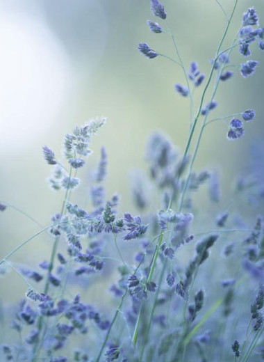 Замедлить темп