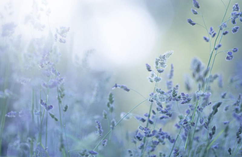 Замедлить темп