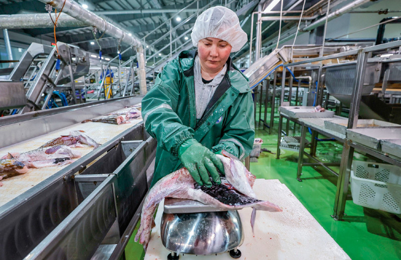 За консервами выстроилась очередь